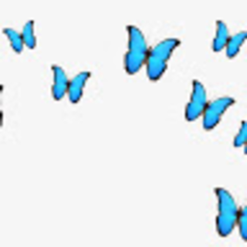 Meet your Posher, Carly